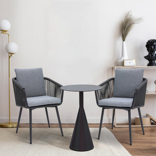 Outdoor/Indoor Dining Armchair with Cushion (Set of 2)