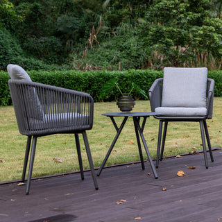 Outdoor/Indoor Dining Armchair with Cushion (Set of 2)