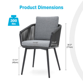 Outdoor/Indoor Dining Armchair with Cushion (Set of 2)