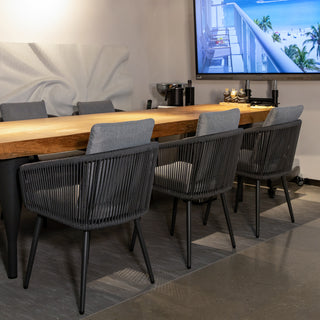 Outdoor/Indoor Dining Armchair with Cushion (Set of 2)