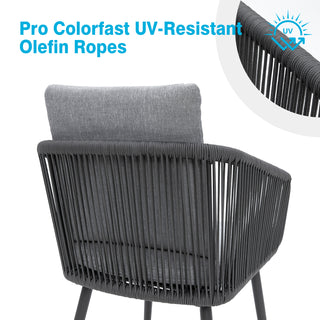 Outdoor/Indoor Dining Armchair with Cushion (Set of 2)